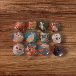 Set of 12 cute refrigerator cat magnets